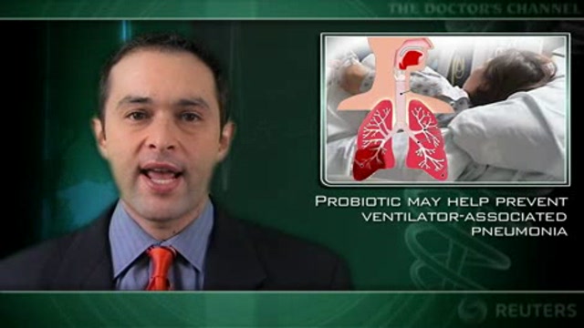 Probiotic may help prevent ventilator-associated pneumonia Thumbnail