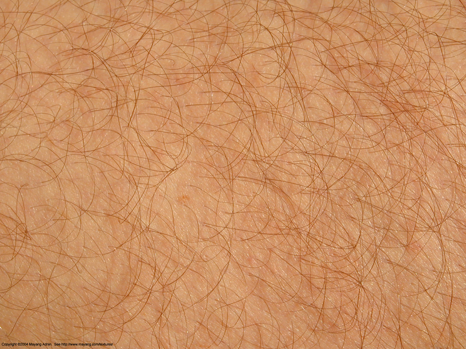 Scientists Identify New Method for Hair Growth - The Doctor's Channel