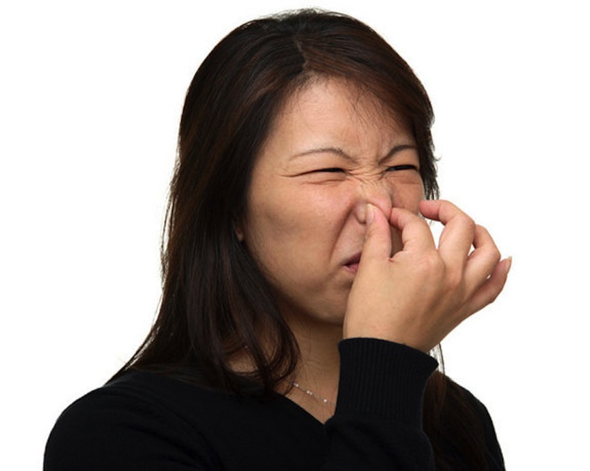 Scatological Study Says Smelling Farts Is Healthy The Doctor's Channel