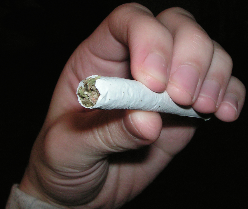 Tests on Cannabis Yield Some Interesting Information The Doctor's Channel