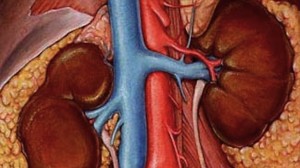 Too Much Tea May Pose Risk to Kidneys