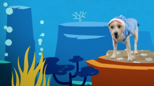 Shark the Herald Angels Sing…