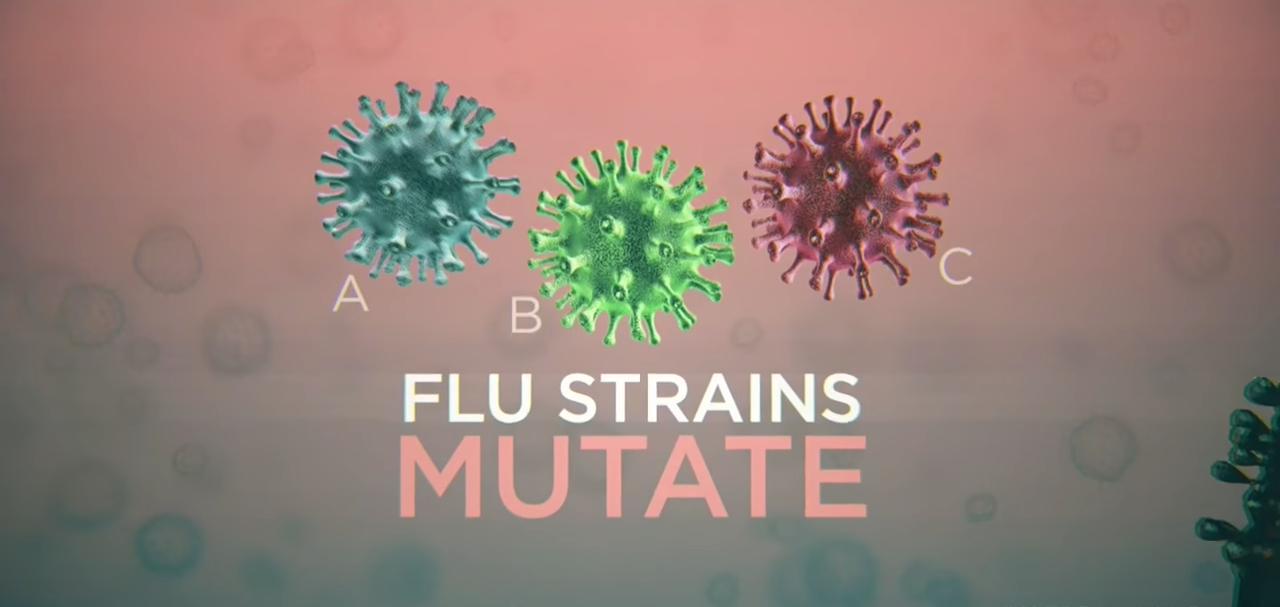 Immunology Breakthrough Could Lead to Long-Lasting Flu Vaccine Thumbnail