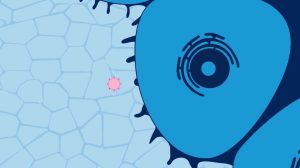 Can Specialized Nanobodies in a Nasal Spray Act as Molecular PPE?
