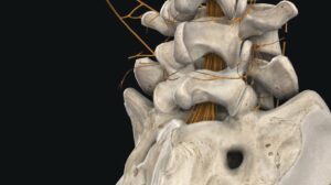 Click to View VR Educational Tool for Lumbar Thermal Radiofrequency Neurotomy Offers Immersive Features