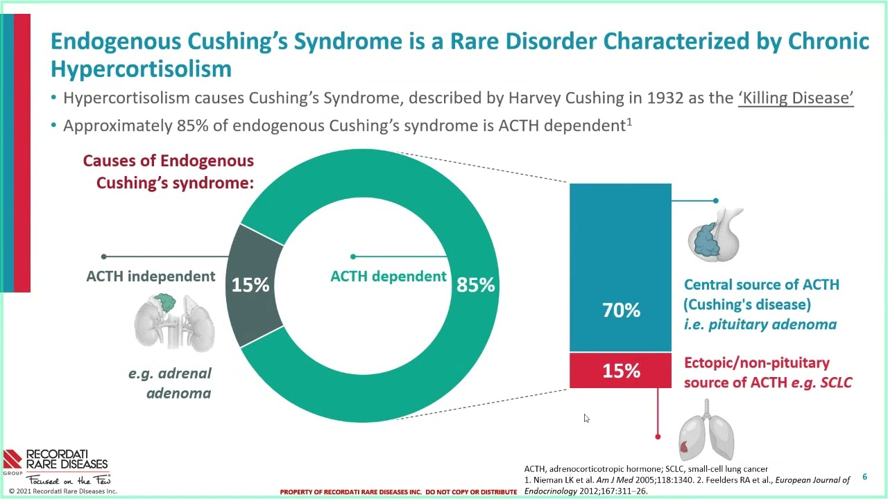 UofL Endocrinology Grand Rounds: Dr. William Ludlam Thumbnail