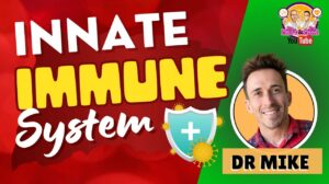 Click to View Innate Immunity | Immune System