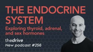 Click to View The Endocrine System: Exploring Thyroid, Adrenal, and Sex Hormones | Peter Attia, M.D.