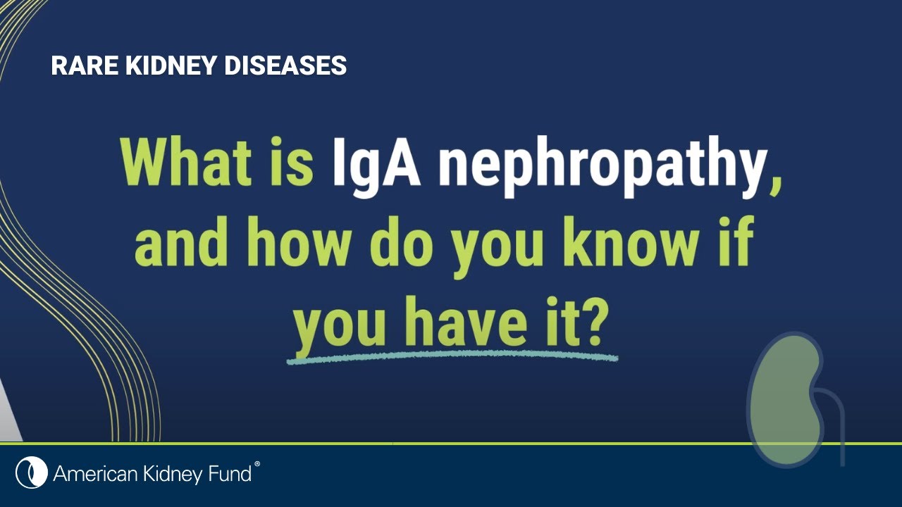 What is IgA nephropathy (IgAN)? | Rare Kidney Disease | American Kidney Fund Thumbnail