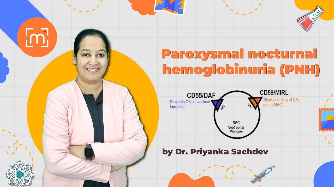 Demystifying Paroxysmal Nocturnal Hemoglobinuria (PNH) | MedLive Thumbnail