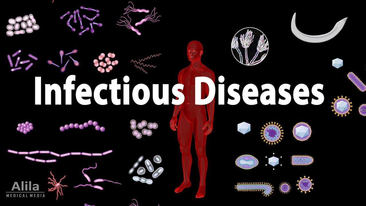 Infectious Diseases Overview Animation Thumbnail