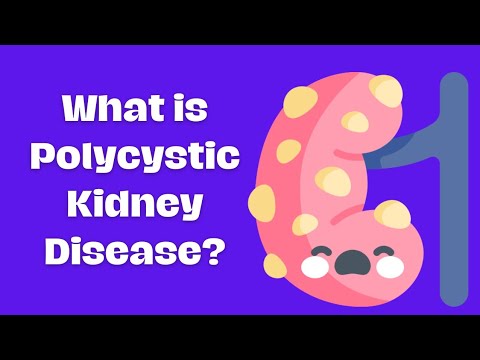 Understanding Polycystic Kidney Disease (PKD) Thumbnail